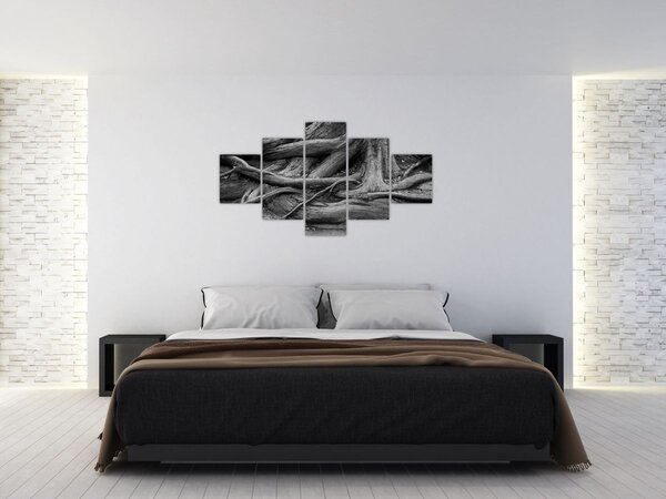 Obraz - Korzenie drzewa (125x70 cm)