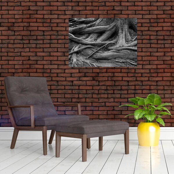 Obraz - Korzenie drzewa (70x50 cm)