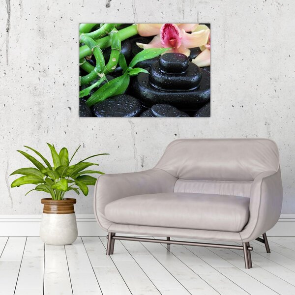 Obraz - Kamienie i orchidee (70x50 cm)