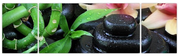 Obraz - Kamienie i orchidee (170x50 cm)