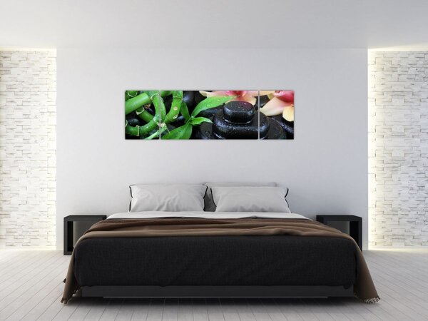 Obraz - Kamienie i orchidee (170x50 cm)