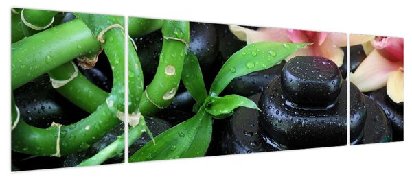 Obraz - Kamienie i orchidee (170x50 cm)