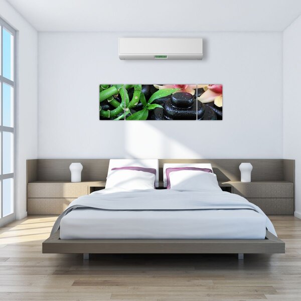 Obraz - Kamienie i orchidee (170x50 cm)