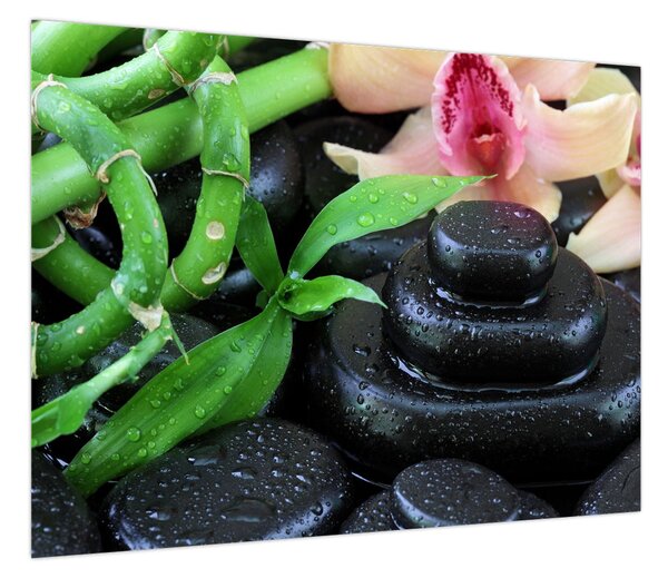 Obraz - Kamienie i orchidee (70x50 cm)