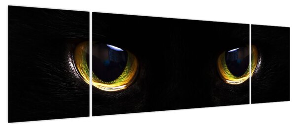 Obraz - Kocie oczy (170x50 cm)