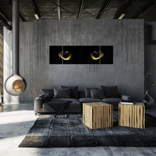 Obraz - Kocie oczy (170x50 cm)
