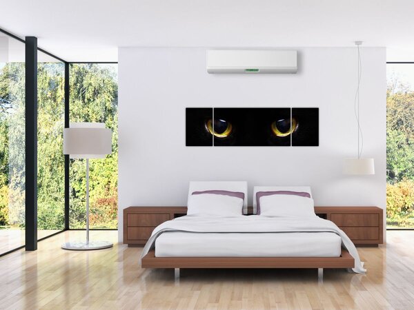 Obraz - Kocie oczy (170x50 cm)