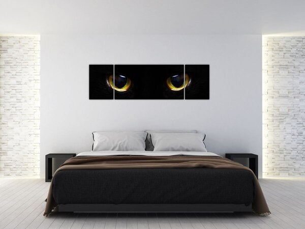 Obraz - Kocie oczy (170x50 cm)