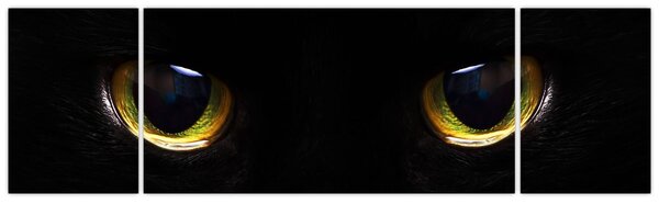 Obraz - Kocie oczy (170x50 cm)