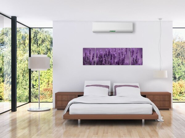 Obraz - Lawenda (170x50 cm)