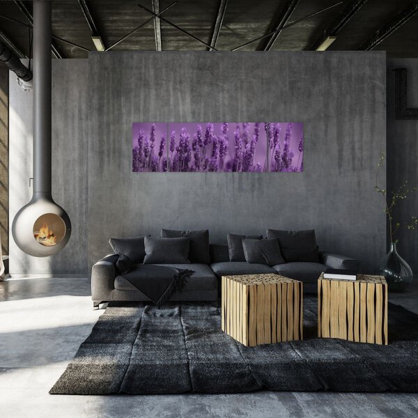Obraz - Lawenda (170x50 cm)