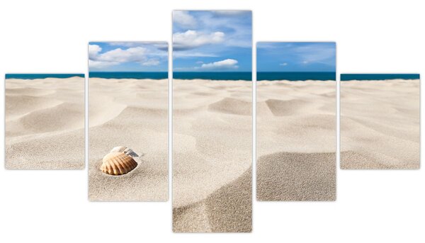 Obraz - Muszle na plaży (125x70 cm)