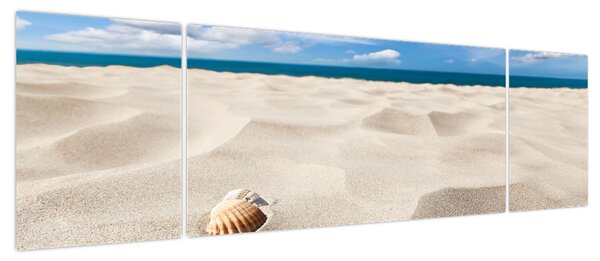 Obraz - Muszle na plaży (170x50 cm)