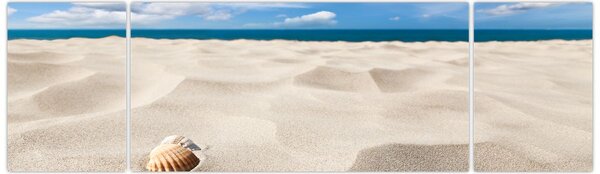 Obraz - Muszle na plaży (170x50 cm)