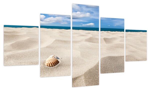 Obraz - Muszle na plaży (125x70 cm)