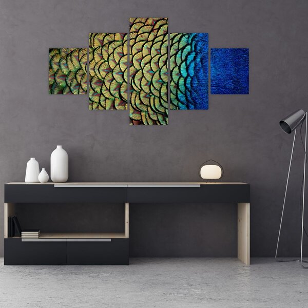 Obraz - Pawie pióra (125x70 cm)