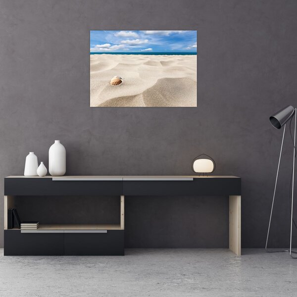 Obraz - Muszle na plaży (70x50 cm)
