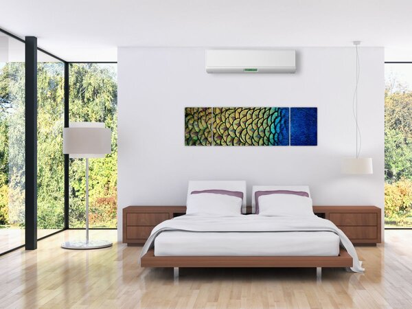 Obraz - Pawie pióra (170x50 cm)