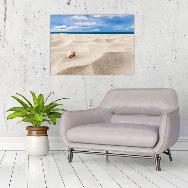 Obraz - Muszle na plaży (70x50 cm)