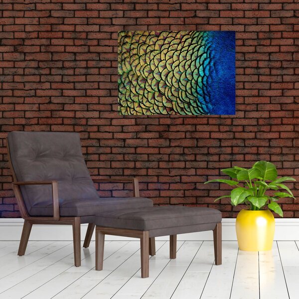 Obraz - Pawie pióra (70x50 cm)