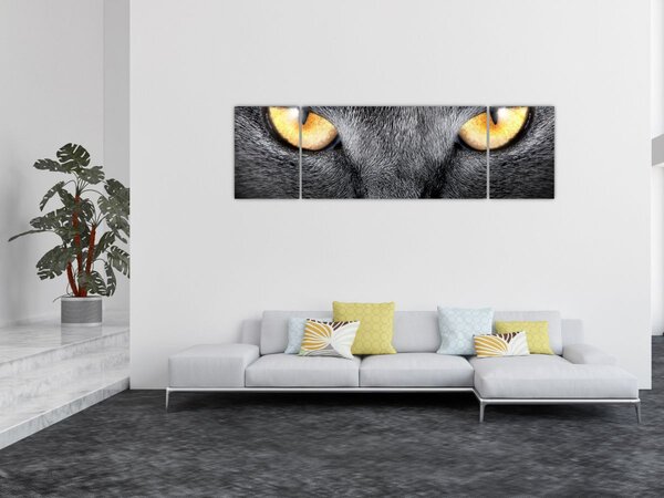 Obraz - Portret kota z bliska (170x50 cm)