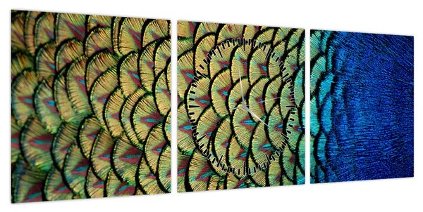 Obraz - Pawie pióra (z zegarem) (90x30 cm)