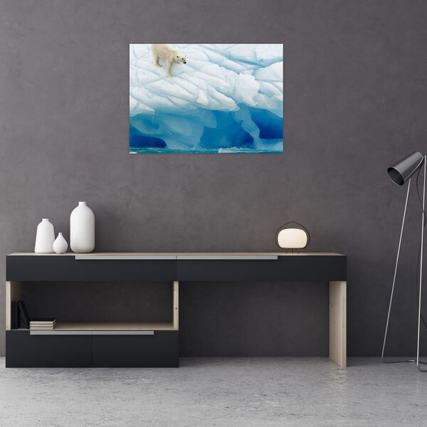 Obraz - Niedźwiedź polarny (70x50 cm)