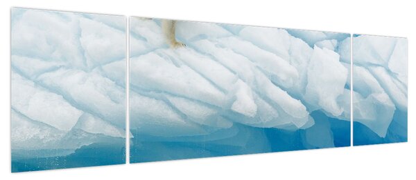 Obraz - Niedźwiedź polarny (170x50 cm)