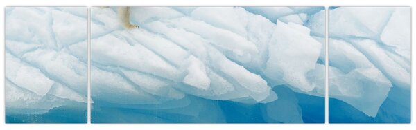 Obraz - Niedźwiedź polarny (170x50 cm)