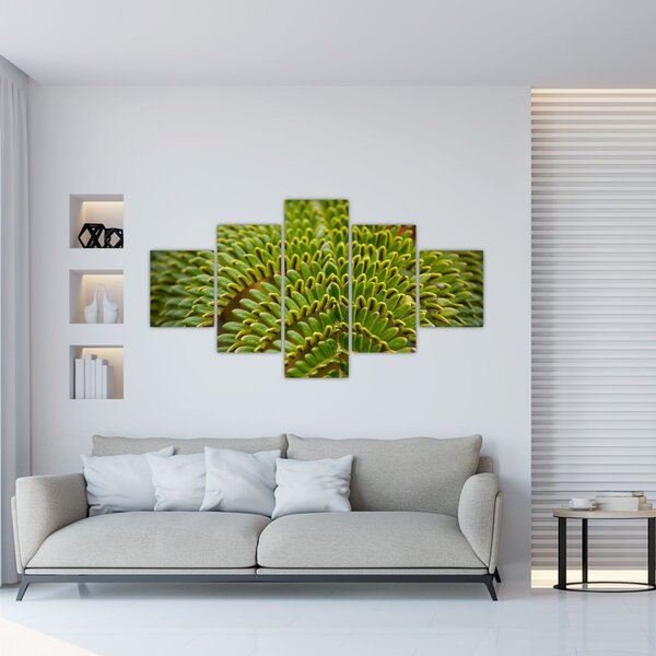Obraz - Paproć (125x70 cm)