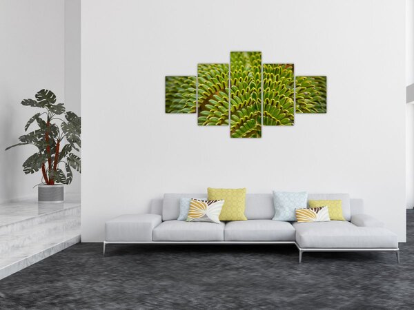 Obraz - Paproć (125x70 cm)