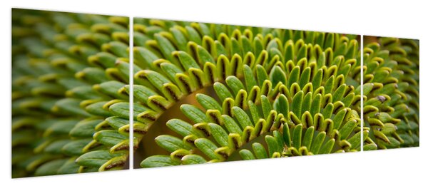 Obraz - Paproć (170x50 cm)