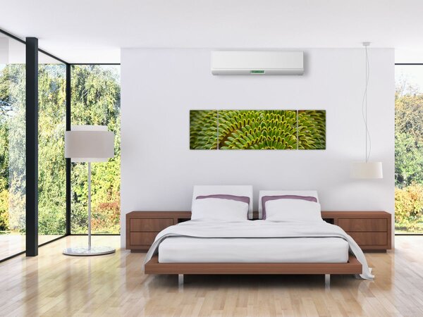 Obraz - Paproć (170x50 cm)
