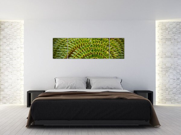 Obraz - Paproć (170x50 cm)