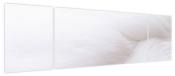 Obraz - Białe pióro (170x50 cm)