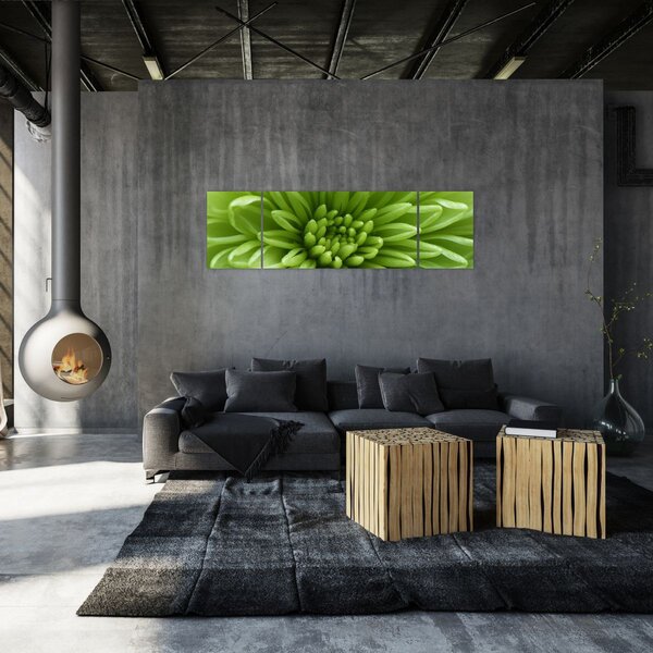 Obraz - Obraz rośliny w trybie makro (170x50 cm)