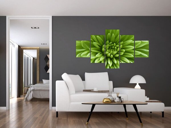 Obraz - Obraz rośliny w trybie makro (125x70 cm)