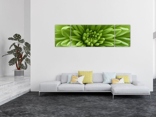Obraz - Obraz rośliny w trybie makro (170x50 cm)