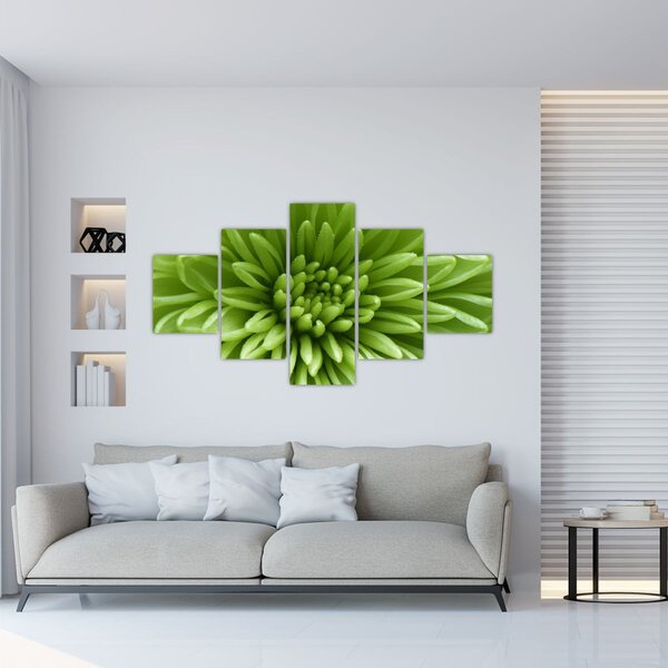 Obraz - Obraz rośliny w trybie makro (125x70 cm)