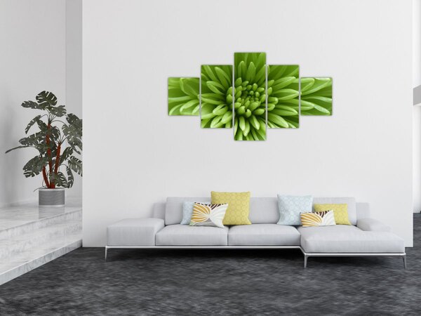 Obraz - Obraz rośliny w trybie makro (125x70 cm)
