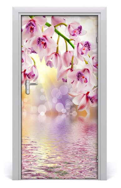 Naklejka samoprzylepna okleina na drzwi Orchidea