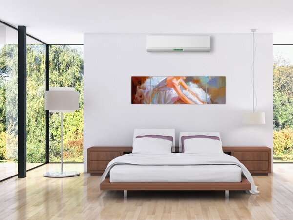 Obraz - Balerina (170x50 cm)