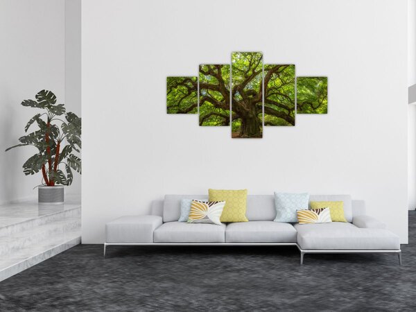 Obraz - Zielone drzewo (125x70 cm)
