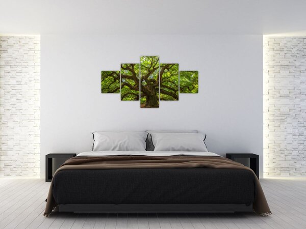 Obraz - Zielone drzewo (125x70 cm)