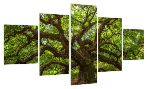 Obraz - Zielone drzewo (125x70 cm)