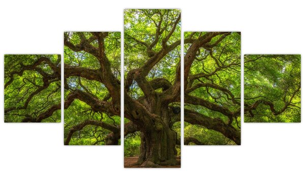 Obraz - Zielone drzewo (125x70 cm)