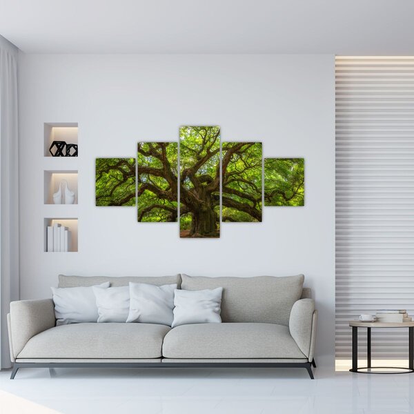 Obraz - Zielone drzewo (125x70 cm)