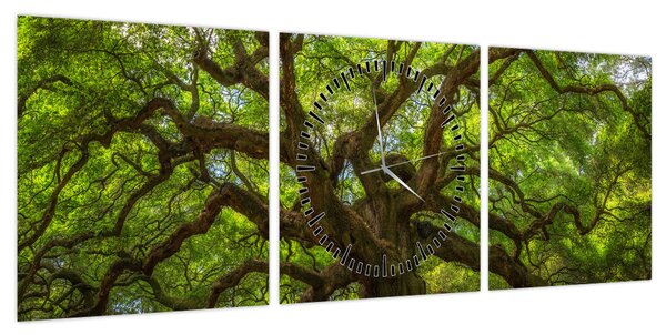 Obraz - Zielone drzewo (z zegarem) (90x30 cm)