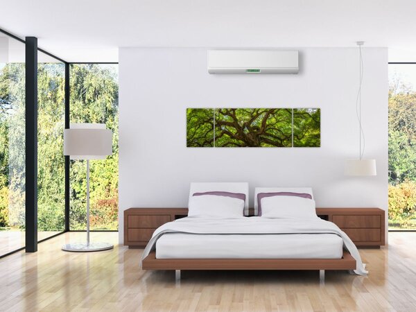 Obraz - Zielone drzewo (170x50 cm)