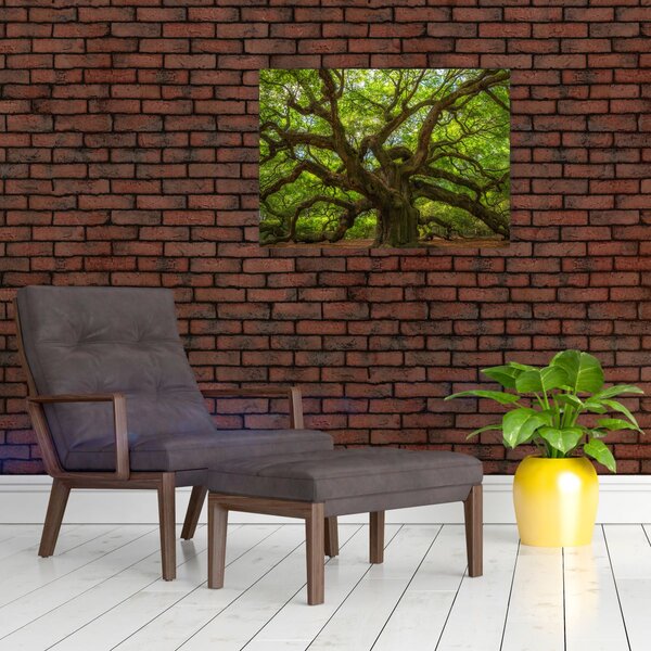Obraz - Zielone drzewo (70x50 cm)